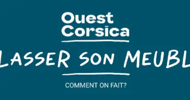 Le service Classement de Meublés de l'Office du Tourisme - Communauté de Communes Spelunca Liamone