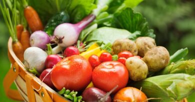 Le temps n'est pas encore venu de ranger les outils de jardinage - ici