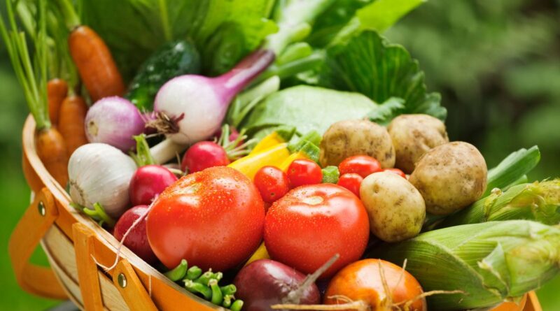 Le temps n'est pas encore venu de ranger les outils de jardinage - ici