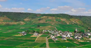Grand Est, Strasbourg, Reims, vineyard, Alsace, Vosges, forest, cathedral, village