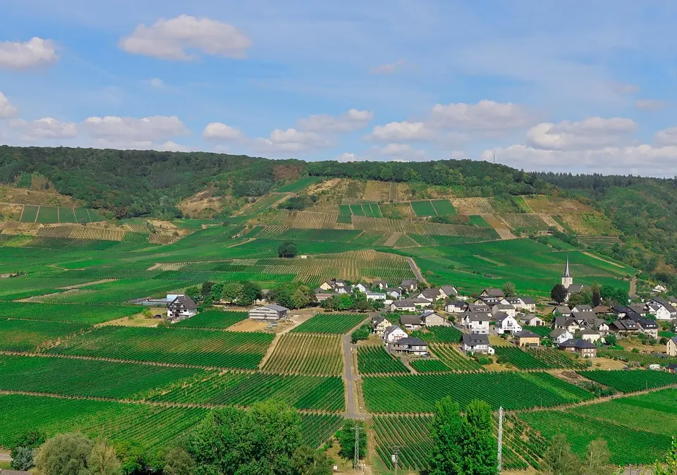 Grand Est, Strasbourg, Reims, vineyard, Alsace, Vosges, forest, cathedral, village