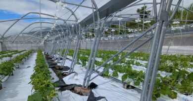 Le troisième paiement du Fonds de secours pour l’Outre-mer a été versé aux agriculteurs touchés par le cyclone Garance