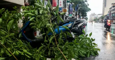 Le typhon Podul rétrogradé en tempête tropicale, touche les côtes chinoises