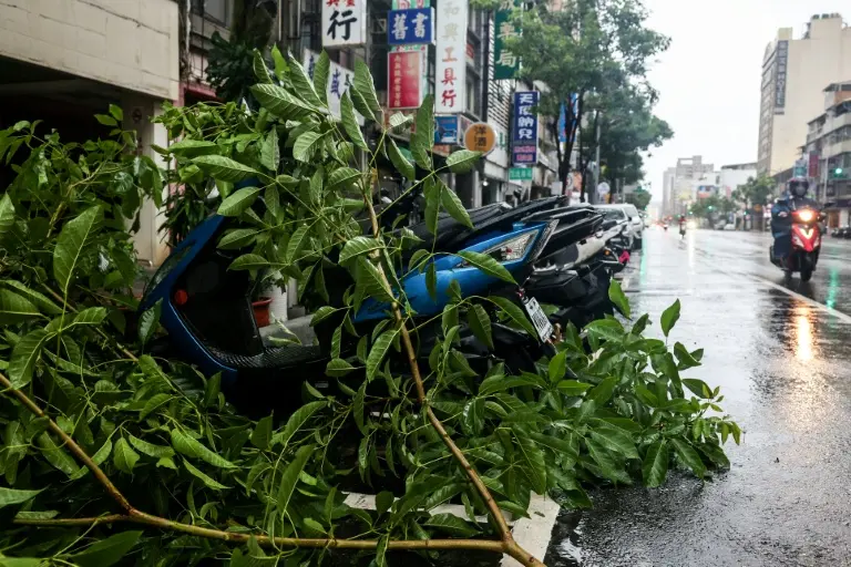 Le typhon Podul rétrogradé en tempête tropicale, touche les côtes chinoises