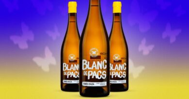 Le vin de la semaine : un blanc espagnol abordable (et bio)