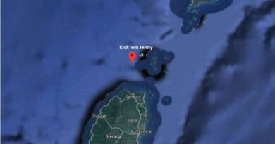 Le volcan sous-marin Kick-’em-Jenny refait des siennes