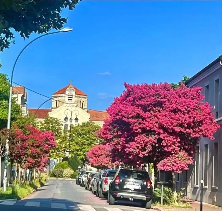 📷 #LeParcEnPics décerne le prix de la plus belle rue du quartier un 16 août, à l’avenue de Vintimille 🏆🌺🌺🌺🌺🌺🌺🌺🌺🌺🌺🌺