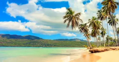 Guadeloupe, Basse-Terre, Pointe-à-Pitre, volcano, beach, palm, waterfall, Creole, island