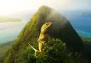 Le lézard jaune de Moorea : mythe fondateur et identité d’une île