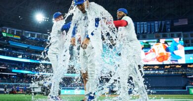 Les Blue Jays écrasent les Twins dans le premier match de la série