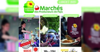 Les Marchés des Producteurs de Pays : un succès grandissant dans les Landes, une vitrine pour l'agriculture locale - ici