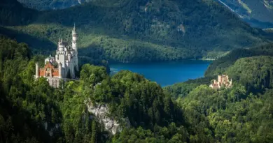Centre-Val de Loire, Orléans, Tours, Loire river, castle, vineyard, forest, landscape