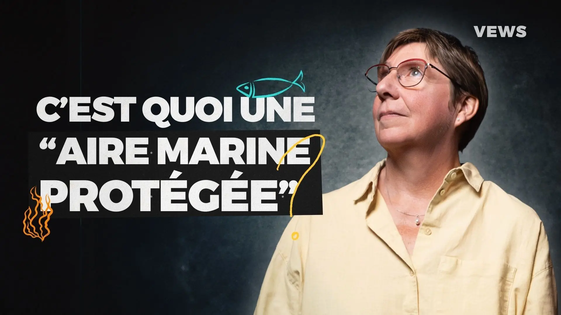 Les aires marines protégées le sont-elles vraiment ? - RTBF Actus