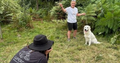 Les chiens étaient au centre de l’objectif d’un shooting photo insolite organisé en Seine-Maritime