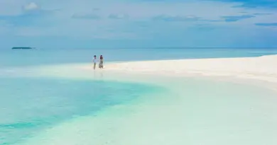 Mayotte, Mamoudzou, lagoon, beach, coral, mangrove, ylang-ylang, island, Creole, nature
