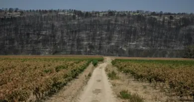 BFM CLIMAT