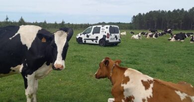 Les délices laitiers bio de la Ferme La Palue à Linxe : "Lait 2 Castets", une marque synonyme de qualité   - ici
