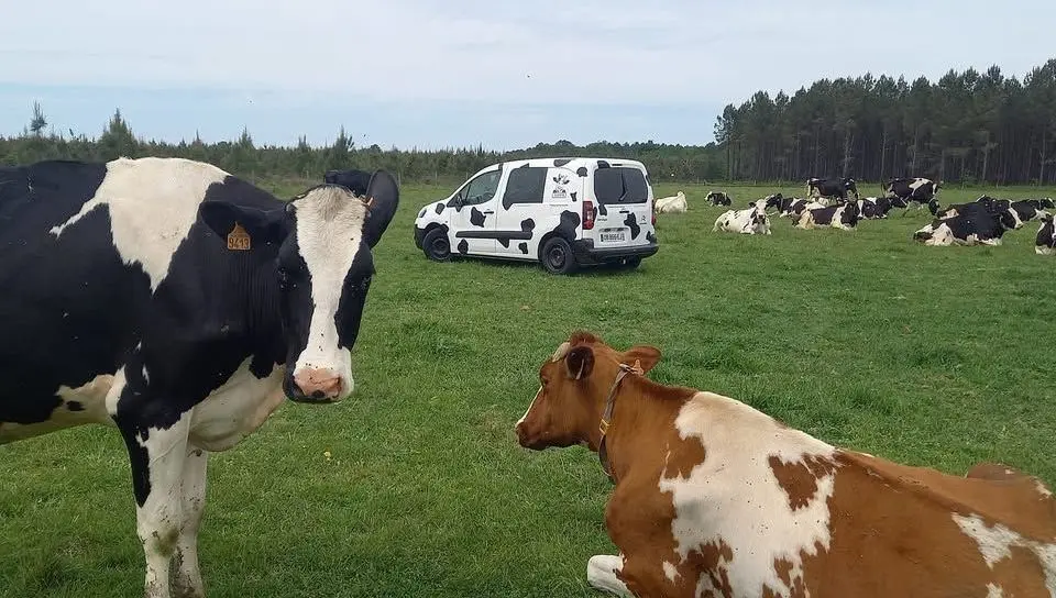 Les délices laitiers bio de la Ferme La Palue à Linxe : "Lait 2 Castets", une marque synonyme de qualité - ici