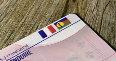 Les drapeaux français et du FLNKS disparaissent du permis de conduire