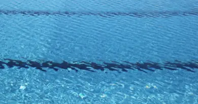 Les enfants portés disparus à Antibes retrouvés morts dans une piscine voisine