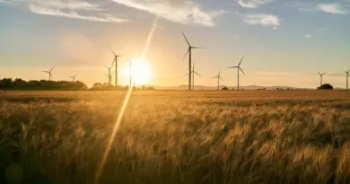 energy, renewable energy, solar energy, wind energy, hydroelectric, geothermal, biomass