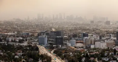 Les incendies de Los Angeles ont sans doute provoqué autour de 440 morts, bien plus que le bilan officiel de 30 décès