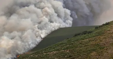 Les incendies ont déjà ravagé 343.000 hectares en 2025 en Espagne, un nouveau record