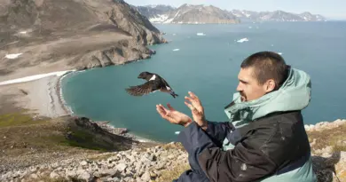 Les oiseaux marins, sentinelles de la mer