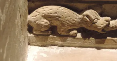 Les petits curieux : au Palais Rihour