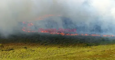 Les pompiers mobilisés sur cinq incendies de végétation ce samedi