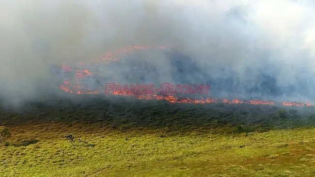 Les pompiers mobilisés sur cinq incendies de végétation ce samedi