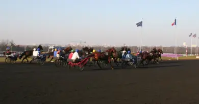 Course hippique - illustration