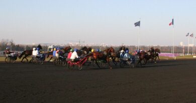 Course hippique - illustration
