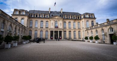 Les réponses aux courriers adressées à l’Elysée sont-elles désormais rédigées par intelligence artificielle ?