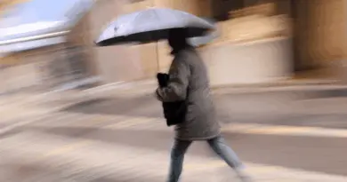 Les températures sous la barre des 30 degrés en pleine journée : la chaleur s'atténue et la pluie est enfin de retour