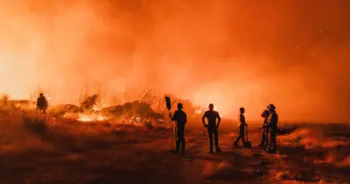 Les terres agricoles, victimes et boucliers face aux incendies en Europe - Euractiv FR