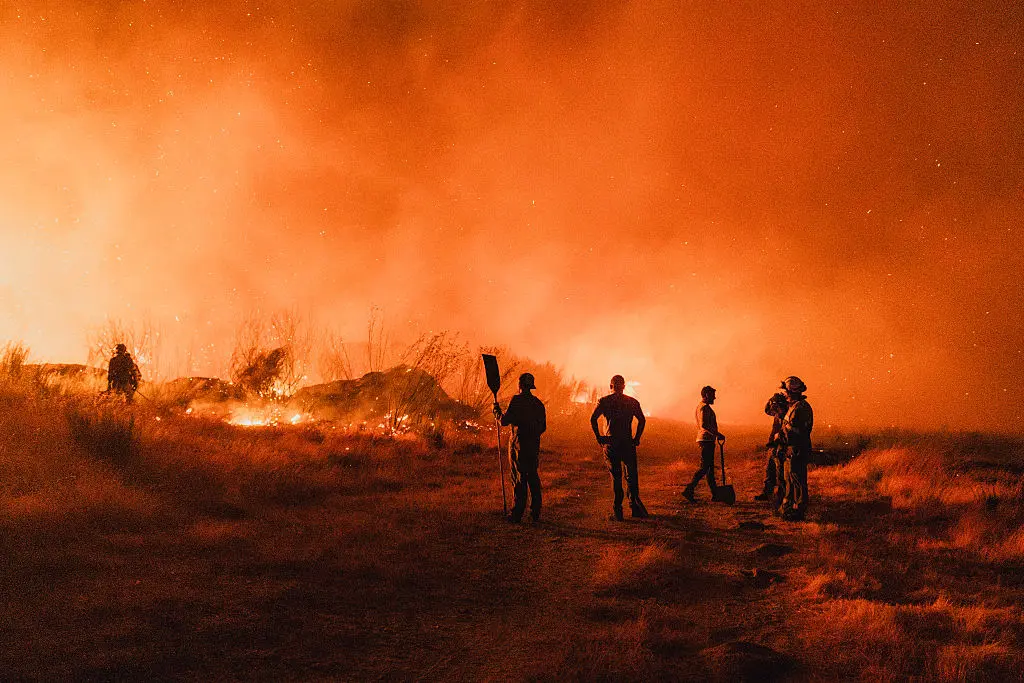 Les terres agricoles, victimes et boucliers face aux incendies en Europe - Euractiv FR