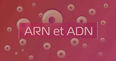 Les vaccins à ARN messager, un espoir contre le cancer