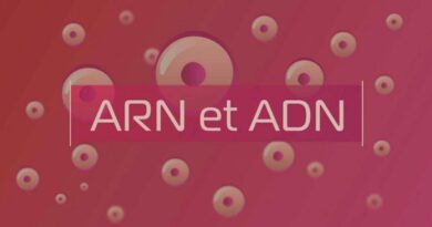 Image illustrant le contenu de l’article.