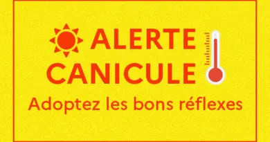 Les vagues de chaleur et leurs effets sur la santé – Ministère du Travail, de la Santé, des Solidarités et des Familles
