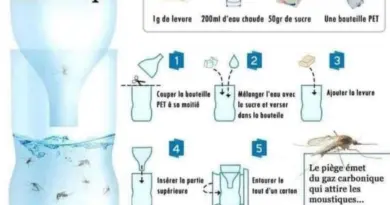 #LesNewsDuParc recherchent des témoignages