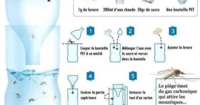 Image illustrant le contenu de l’article.