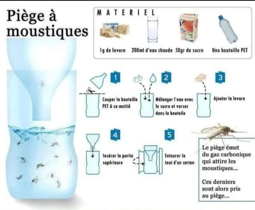 #LesNewsDuParc recherchent des témoignages