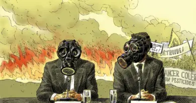 L’été marqué par la canicule et les feux peut-il relancer la transition écologique en France ?
