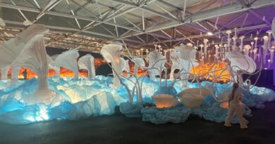 L'exposition l'Océan de Léa est de nouveau ouverte au public