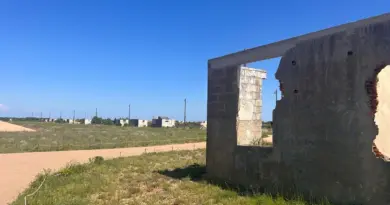 "L’homme qui faisait parler les tombes" : cet archéologue raconte comment il a retrouvé les tombes d'enfants harkis - ici