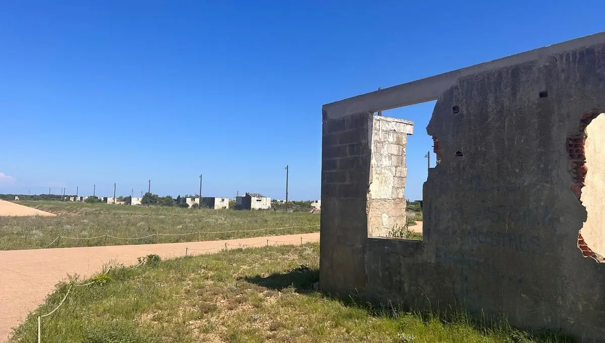 "L’homme qui faisait parler les tombes" : cet archéologue raconte comment il a retrouvé les tombes d'enfants harkis - ici