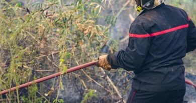 L’incendie dans le Var est fixé après avoir parcouru 130 hectares (Ouest-France)