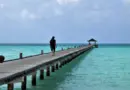 Mayotte, Mamoudzou, lagoon, beach, coral, mangrove, ylang-ylang, island, Creole, nature
