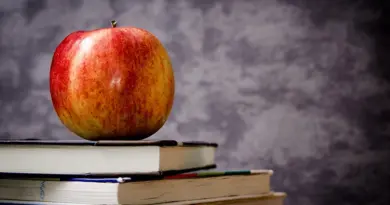 education,school,learning,student,teacher,classroom,university,books,knowledge,study